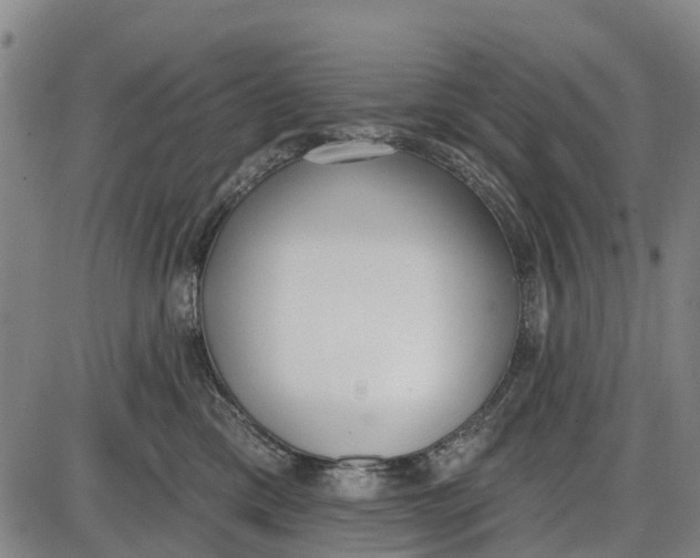 X0000085000425200703261134