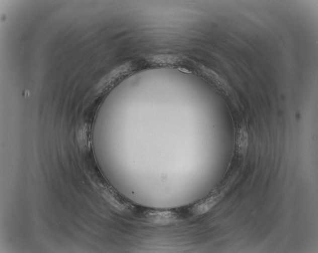 X0000085000428200703261133