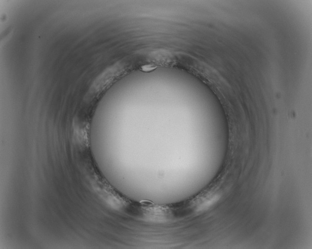 X0000085000432200703261133