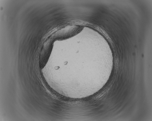 X0000085000433200703261133