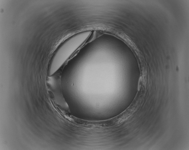 X0000085000434200703261133