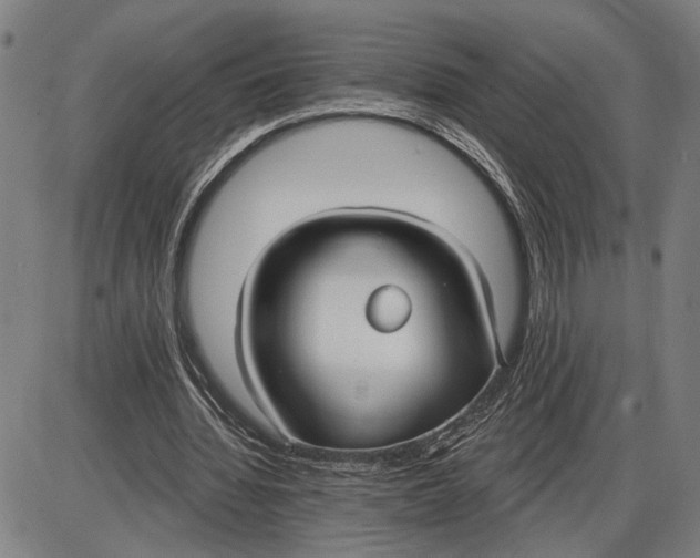 X0000085000436200703261133