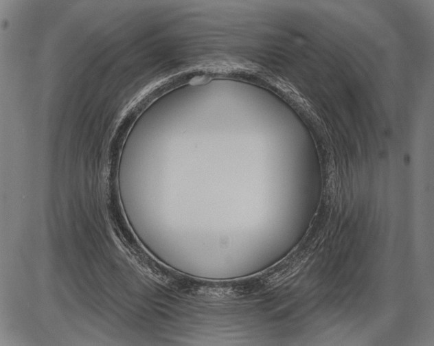 X0000085000440200703261133