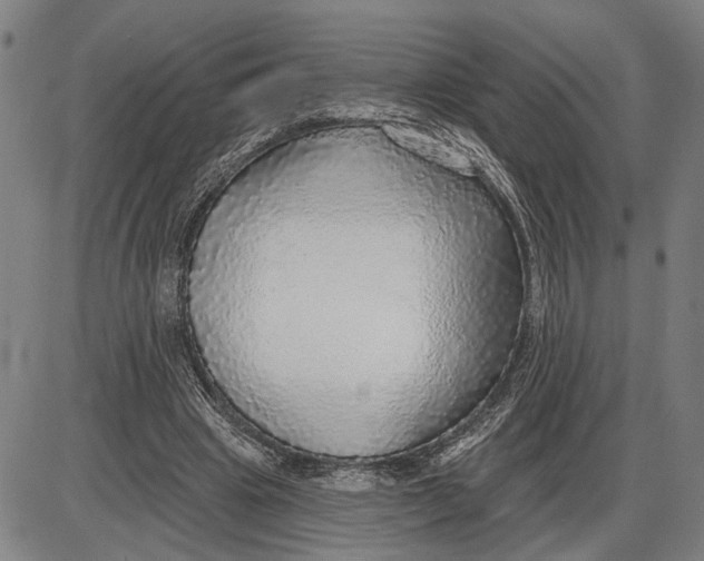 X0000085000441200703261133