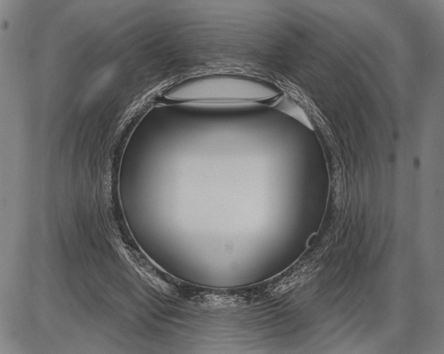 X0000085000442200703261133