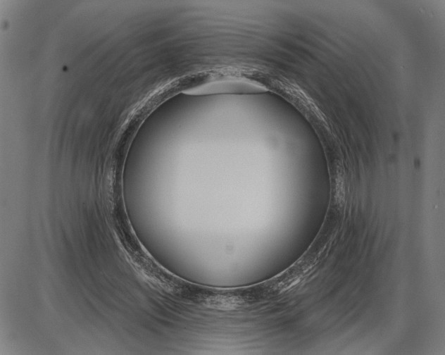 X0000085000444200703261133