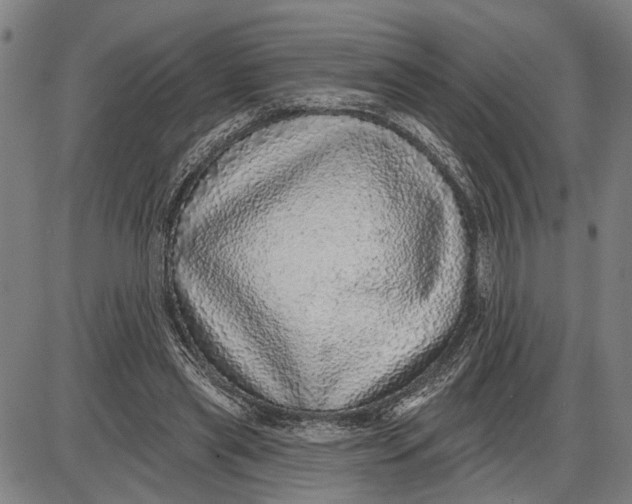 X0000085000445200703261133