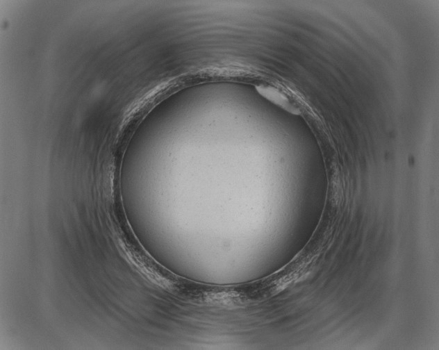 X0000085000446200703261133