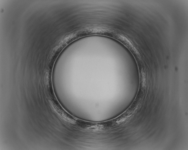 X0000085000447200703261133