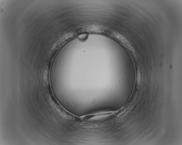 X0000085000449200703261133