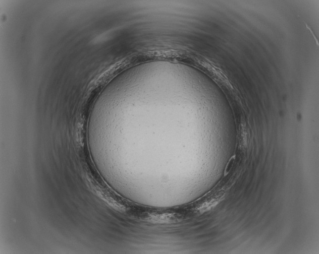 X0000085000450200703261133