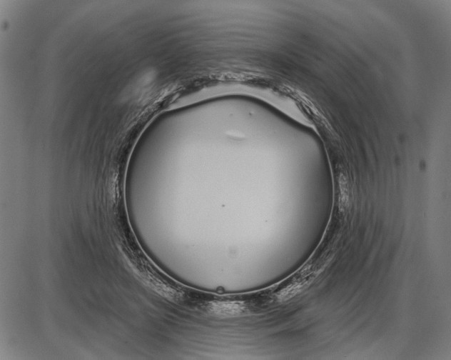 X0000085000451200703261133