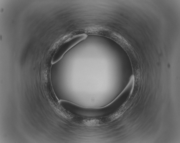 X0000085000452200703261133