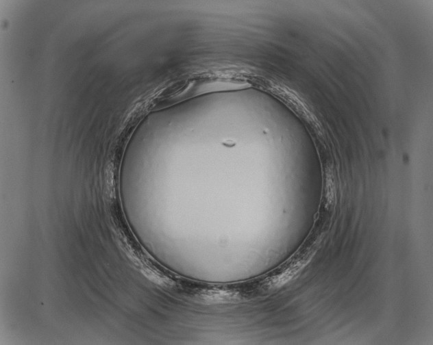 X0000085000453200703261133