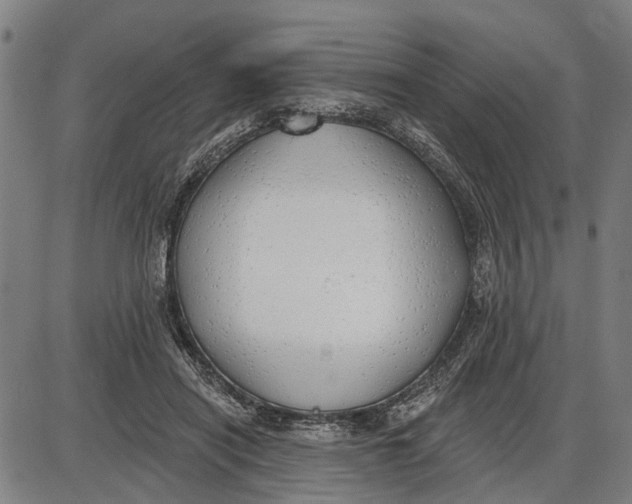 X0000085000454200703261133