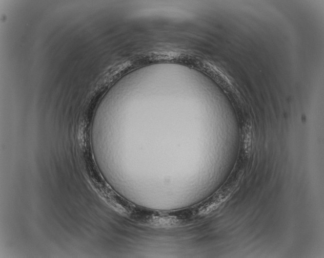 X0000085000455200703261133