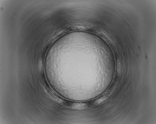 X0000085000459200703261133