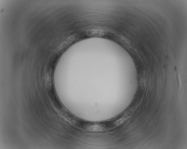 X0000085000460200703261133