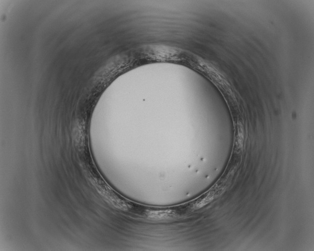 X0000085000461200703261133