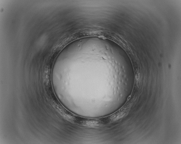 X0000085000462200703261133