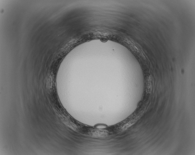 X0000085000463200703261133