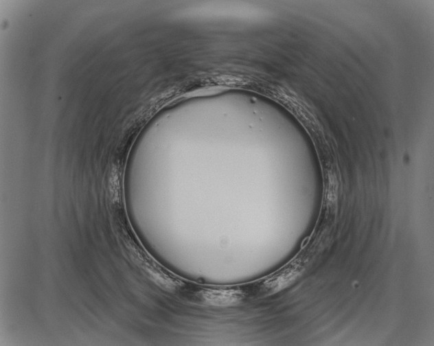 X0000085000465200703261133