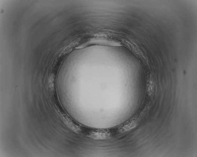 X0000085000466200703261133