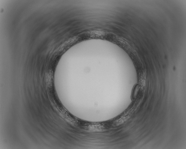 X0000085000468200703261133