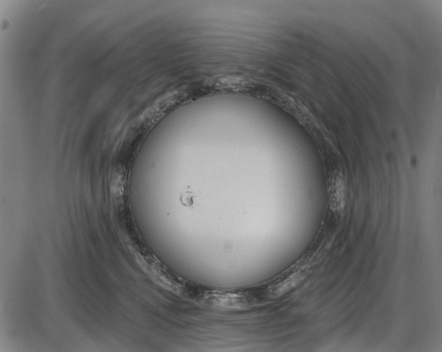 X0000085000472200703261133