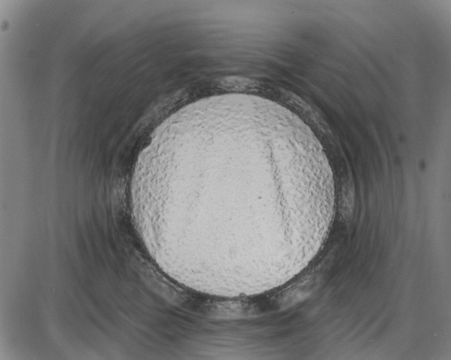 X0000085000473200703261133