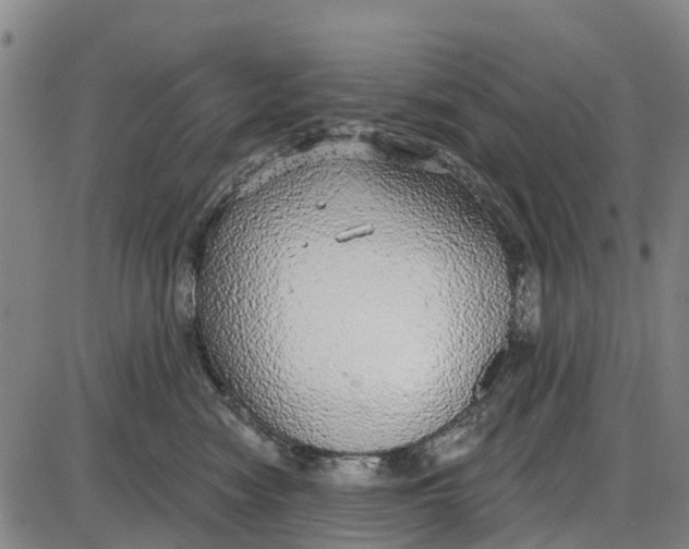 X0000085000474200703261133