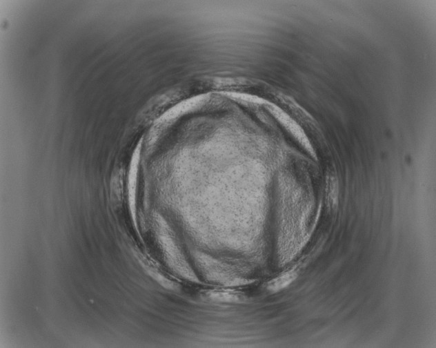 X0000085000475200703261133