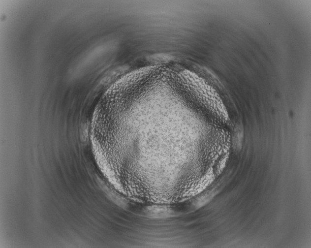 X0000085000477200703261133