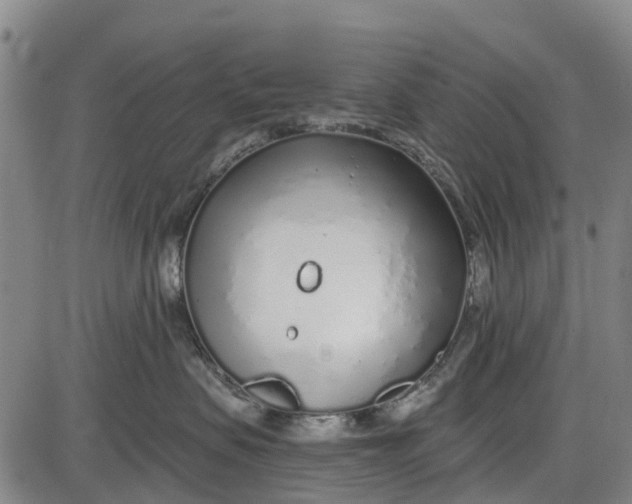 X0000085000479200703261133