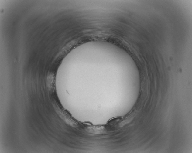 X0000085000480200703261133