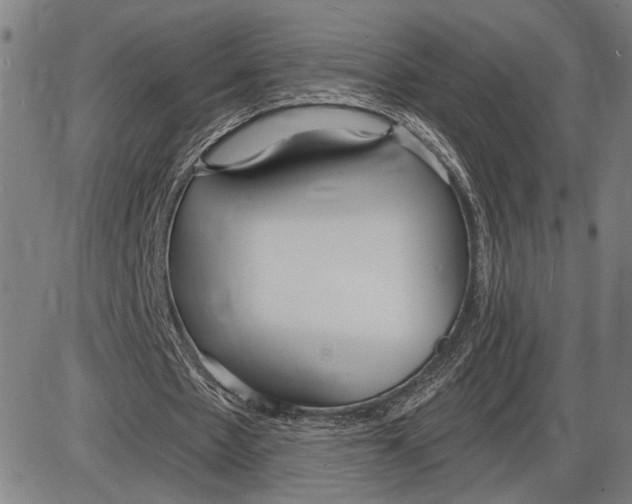 X0000085000481200703261133