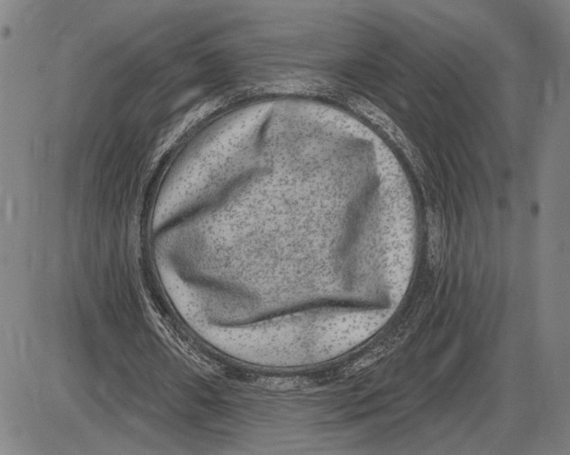 X0000085000482200703261133