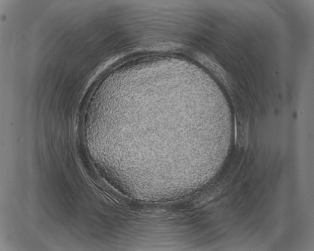 X0000085000483200703261133