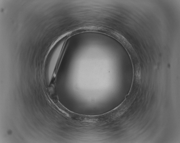 X0000085000484200703261133