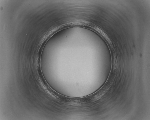 X0000085000485200703261132