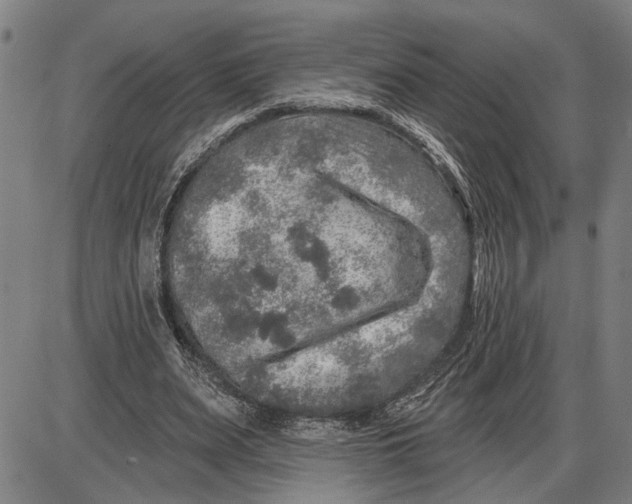 X0000085000487200703261132