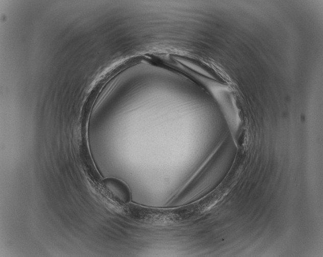 X0000085000488200703261132