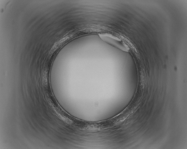 X0000085000489200703261132