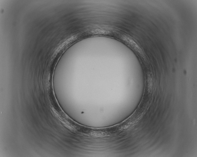 X0000085000490200703261132