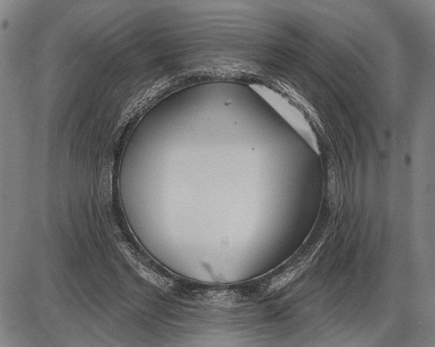 X0000085000493200703261132