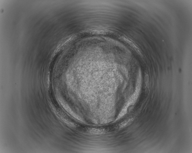 X0000085000494200703261132