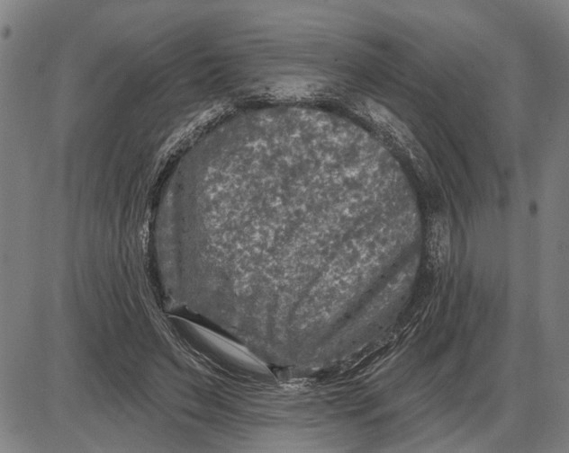 X0000085000495200703261132