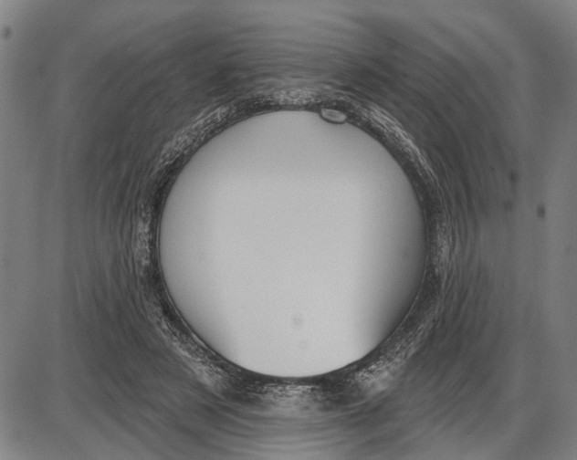 X0000085000497200703261132