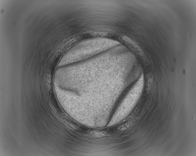 X0000085000498200703261132