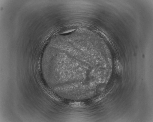 X0000085000499200703261132